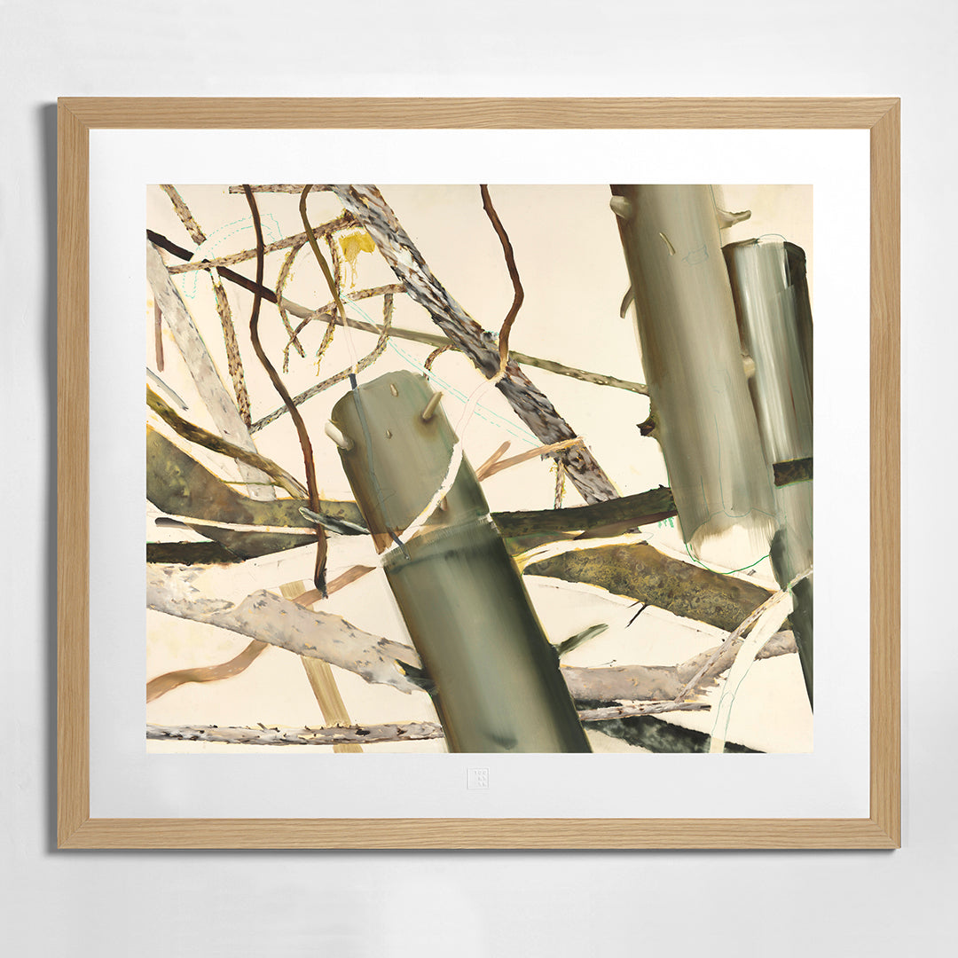 Helen Tóth | Tatranské safari