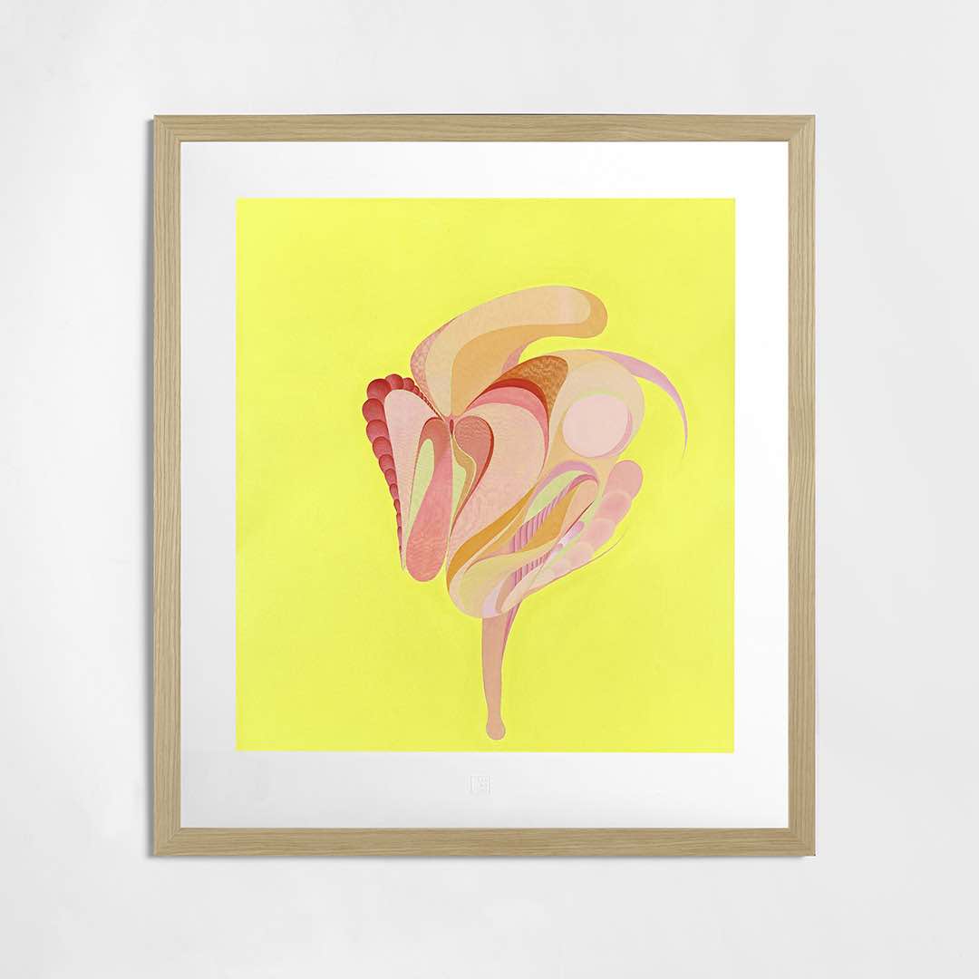 Petr Nikl | Samovolný květ