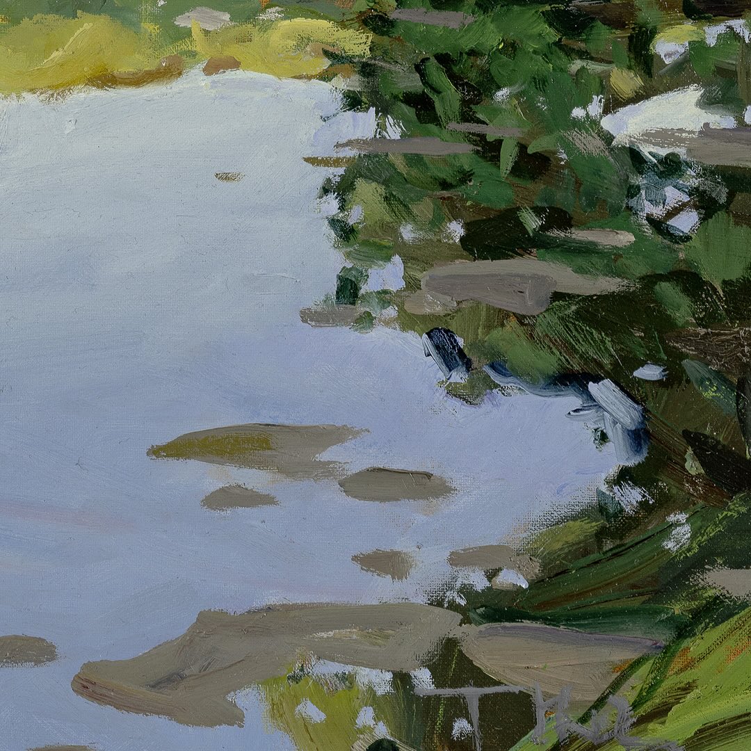 Tomáš Honz | Podvečer nad bahňákem