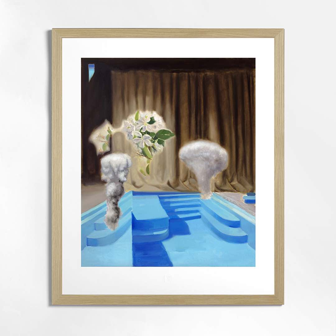 Tomáš Tichý | Lorenzini's Pool