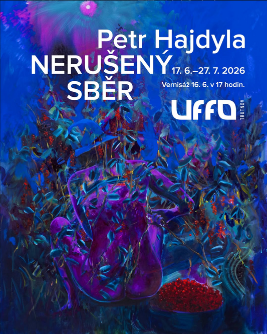 Petr Hajdyla / Nerušený sběr