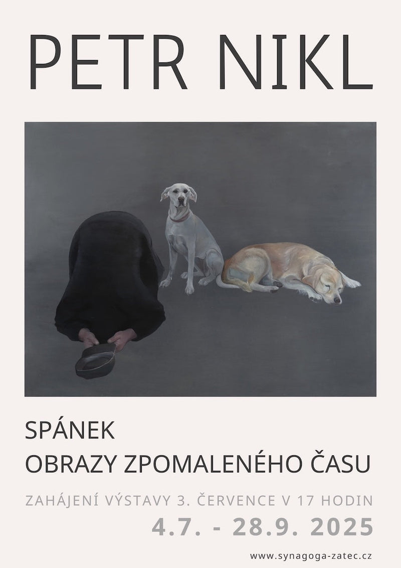 Výstava Spánek od Petra Nikla v žatecké synagoze, 2025