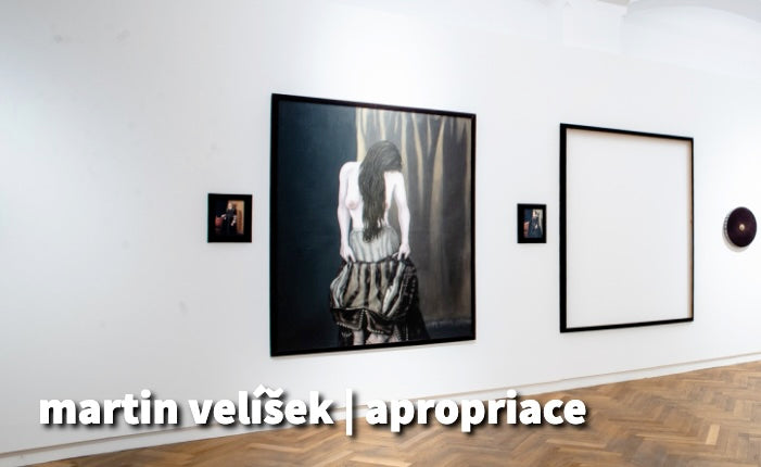 Martin Velíšek / Apropriace