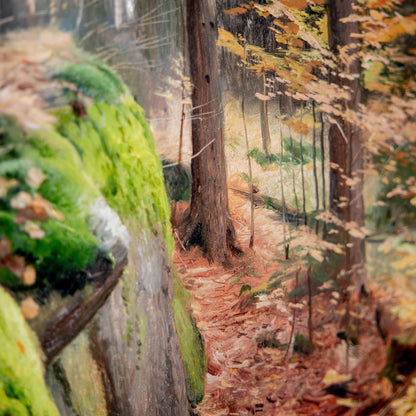 Zdeněk Daněk | Barevná kompozice (Jizerské hory) - ORIGINÁL