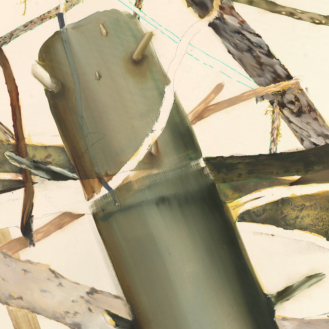 Helen Tóth | Tatranské safari