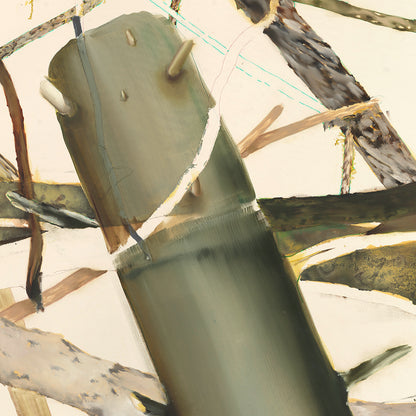 Helen Tóth | Tatranské safari