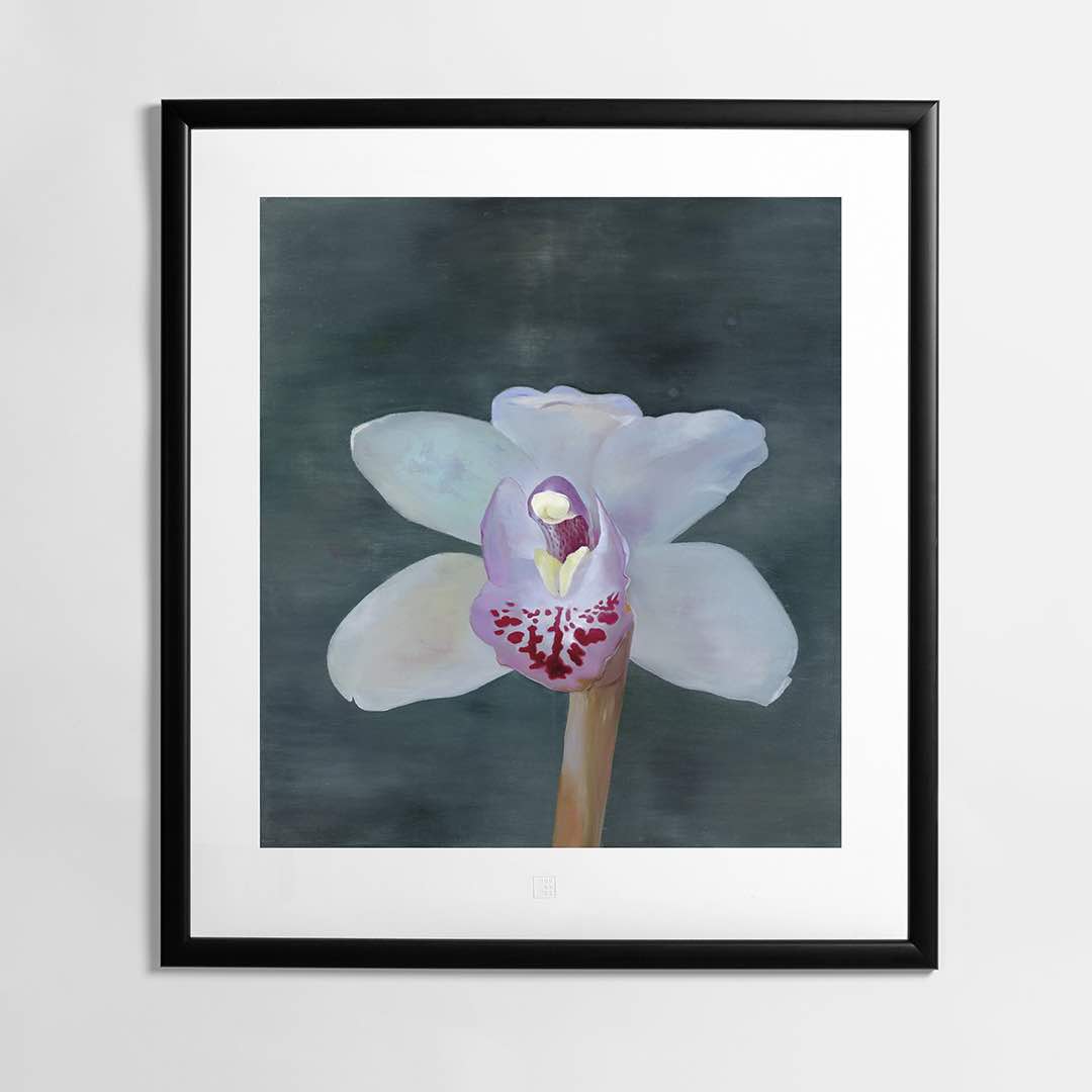 Orchidej XIII
