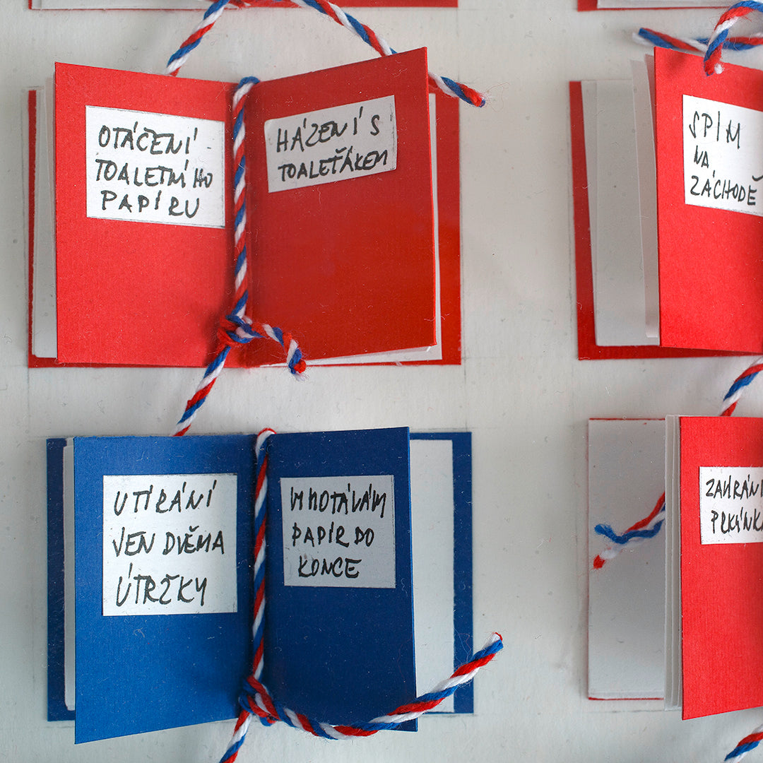 Kateřina Šedá | Češi a záchod (Národní sbírka zlozvyků) - ORIGINÁL