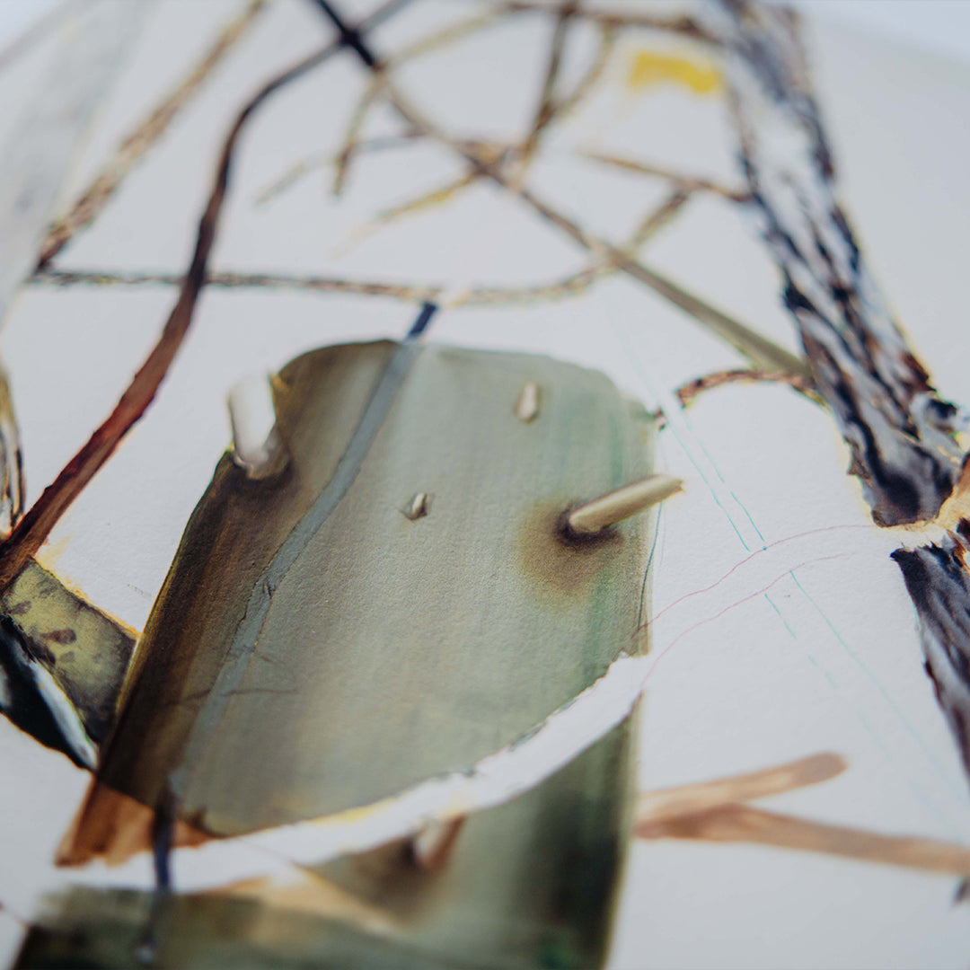 Helen Tóth | Tatranské safari