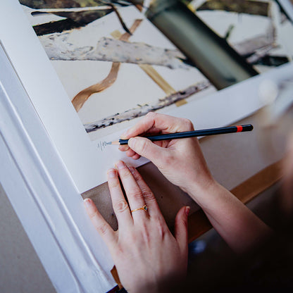 Helen Tóth | Tatranské safari